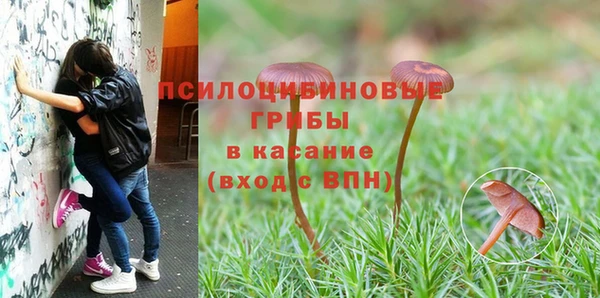 первитин Беломорск