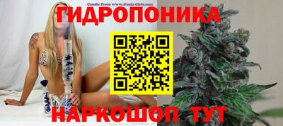 шишки Ликино-Дулёво