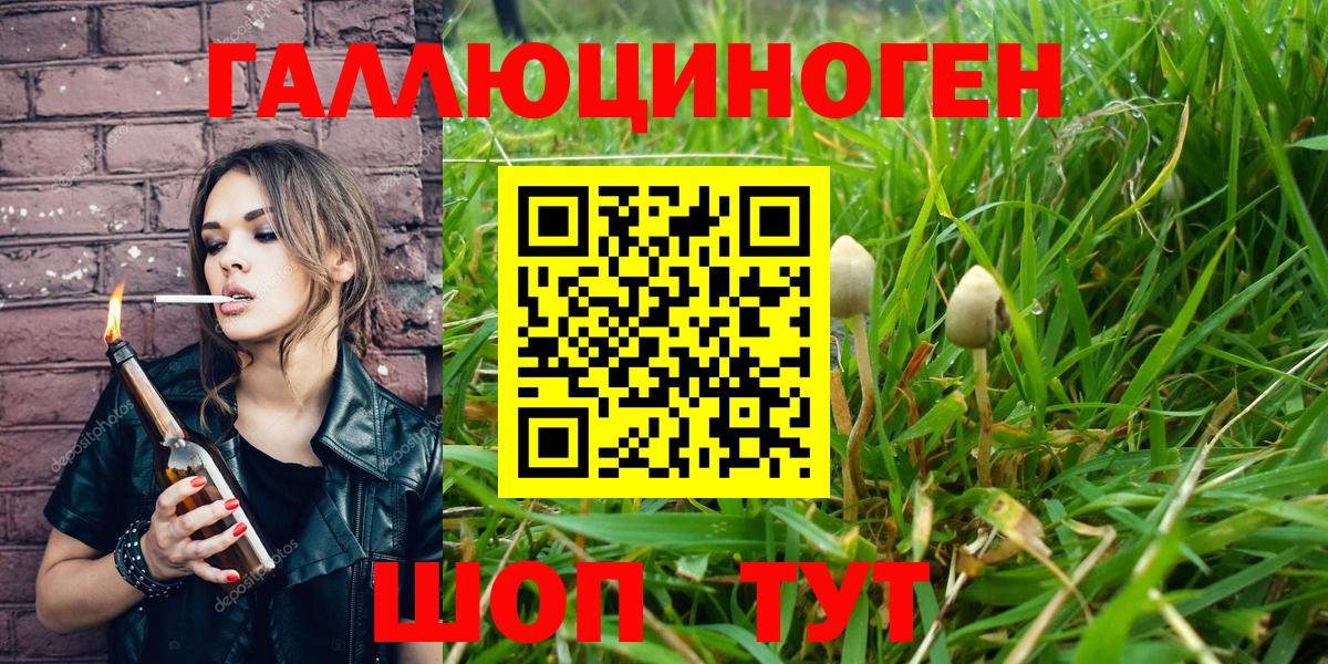 как найти закладки  Вход с VPN  Воскресенск  Галлюциногенные грибы Magic Shrooms 